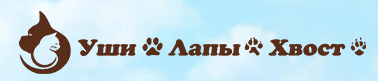 УшиЛапыХвост
