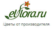 Elflora