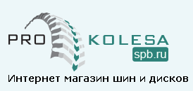 Prokolesaspb.ru